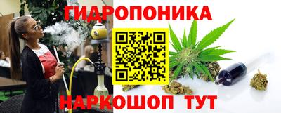 гидропоника Можга