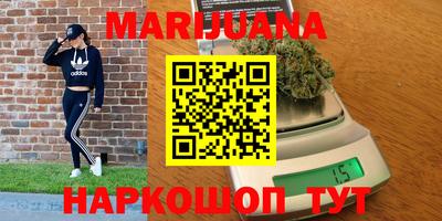 гидропоника Можга