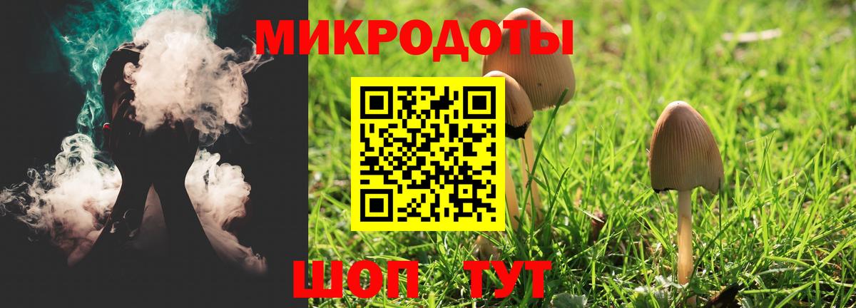 Псилоцибиновые грибы Psilocybe Тобольск